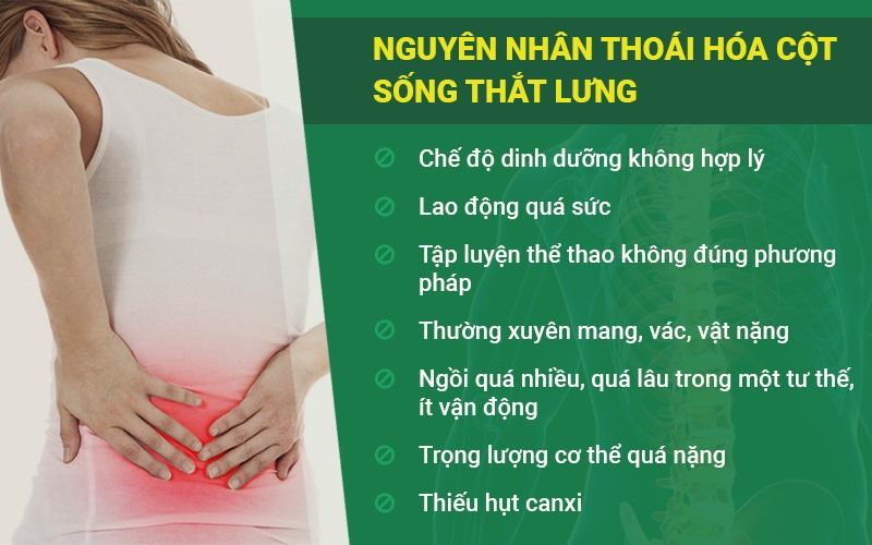 Nguyên nhân thoái hoá cột sống thắt lưng